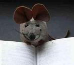 div Blackbirds, early, young ea engelse boeken voor jeugd, Boeken, Ophalen of Verzenden, Zo goed als nieuw, Fictie