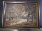 P. van Schaik olieverf schilderij in mooi lijstje., Antiek en Kunst, Ophalen