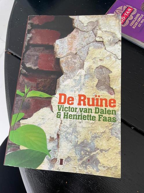 H. Faas - De ruïne, Boeken, Overige Boeken, Zo goed als nieuw, Ophalen of Verzenden