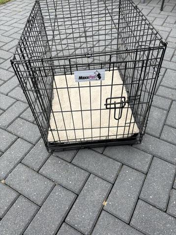Honden / Puppie bench, een mand en kussen beschikbaar voor biedingen