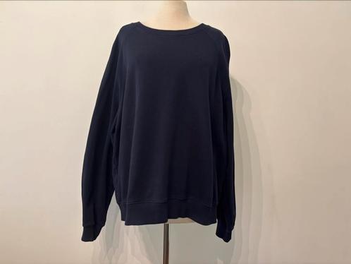 Mooie blauwe trui van Arket  maat L, Kleding | Dames, Truien en Vesten, Nieuw, Maat 42/44 (L), Blauw, Verzenden