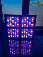 600watt led kweeklamp, Tuin en Terras, Kweekspullen, Ophalen of Verzenden, Zo goed als nieuw, Kweeklamp