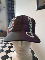 Charlotte hornets vintage nba pet cap jaren 90, Ophalen of Verzenden, Gedragen, One size fits all, Pet