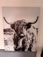 Bizon Foto op doek 80x60 cm - Wanddecoratie, Ophalen, Nieuw, Foto of Poster, 50 tot 75 cm