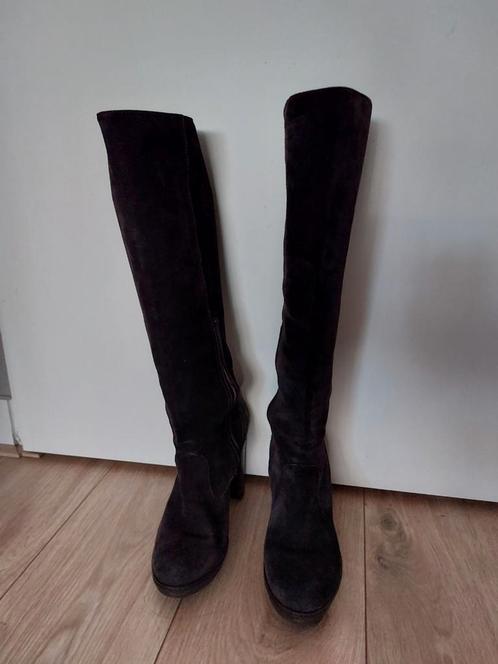 Donkerpaarse suède laarzen van het merk Calexis, Kleding | Dames, Schoenen, Zo goed als nieuw, Hoge laarzen, Zwart, Ophalen of Verzenden