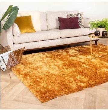 Glossy 200*290 nieuw vloerkleed beschikbaar voor biedingen