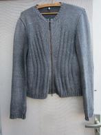 Vest KRIZIA  JEANS mt 40  grijs, Kleding | Dames, Truien en Vesten, Maat 38/40 (M), KRIZIA JEANS, Verzenden, Nieuw