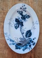 Villeroy & Boch Rubus Schaal (1874-1909), Ophalen of Verzenden