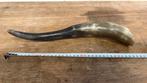 Mooie grote hoorn 35 cm lang., Ophalen of Verzenden, Zo goed als nieuw, Overige soorten, Gewei of Kop