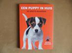 Een puppy in huis - de eerste maanden, Verzenden, Zo goed als nieuw, Honden, Martin en Sacha Gaus