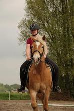 Verzorger/bijrijder aangeboden, Ophalen of Verzenden, Zo goed als nieuw