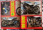 Poster Suzuki RG500 met Wil Hartog, Verzamelen, Automerken, Motoren en Formule 1, Verzenden, Zo goed als nieuw, Motoren
