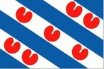 Friese vlag | provincie Friesland, Diversen, Vlaggen en Wimpels, Nieuw, Verzenden