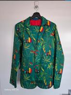 Carnavals pak, Ophalen of Verzenden, Zo goed als nieuw