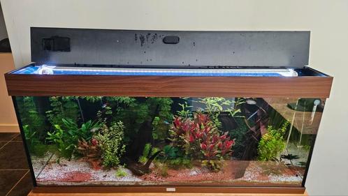 Juwel 240 ledbalk met voeding & controller, Dieren en Toebehoren, Vissen | Aquaria en Toebehoren, Zo goed als nieuw, Ophalen