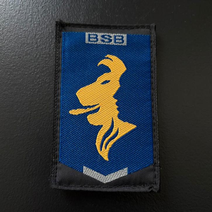 RUILEN - BSB mouwembleem - Patch, Verzamelen, Militaria | Algemeen, Marechaussee, Embleem of Badge, Nederland, Verzenden
