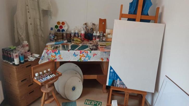 Verzameling schilderspullen, Hobby en Vrije tijd, Schilderen, Zo goed als nieuw, Ophalen