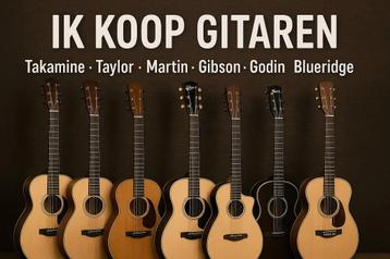 Gezocht: Takamine, Martin, Gibson, Taylor, Godin, Blueridge beschikbaar voor biedingen