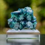 fluoriet uit pocket 42 #3, Verzamelen, Mineralen en Fossielen, Ophalen of Verzenden, Mineraal