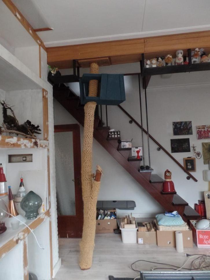 Onverwoestbare kattenkrabpaal, Dieren en Toebehoren, Krabmeubelen, Gebruikt, Krabpaal, Ophalen