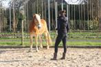 Instructie instructeur natural horsemanship grondwerk lessen, Diensten en Vakmensen, Dieren | Paarden | Verzorging, Oppas en Les