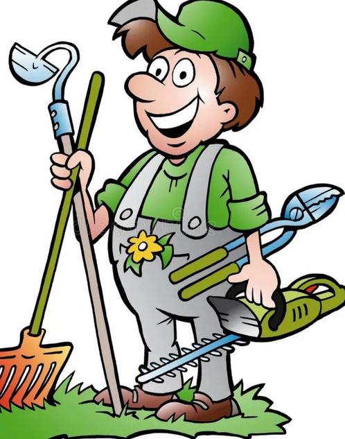 Tuinman gezocht in Heesch, Diensten en Vakmensen, Tuinmannen en Stratenmakers, Tuinonderhoud of Snoeiwerk