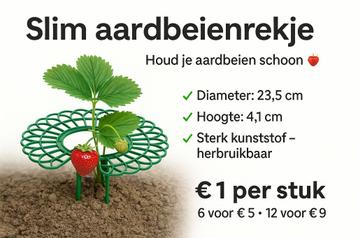 Slim aardbeienrekje | Voorkom schimmel & slakken  beschikbaar voor biedingen