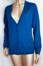 Carnabys vest maat it 46 ( valt als mt 42) 100% VIRGIN WOOL, Ophalen of Verzenden, Zo goed als nieuw, Maat 38/40 (M), Blauw