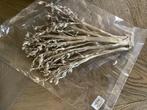 NIEUW gedroogde twig palm tak champagne kleurig droogbloem, Huis en Inrichting, Woonaccessoires | Droogbloemen, Ophalen of Verzenden