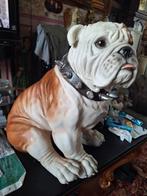 Engelse buldog beeld, Ophalen of Verzenden, Zo goed als nieuw, Beeldje of Figuurtje