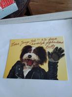 BILLY  HOT DOG.    STARPRINT, Verzamelen, Ophalen of Verzenden, 1980 tot heden