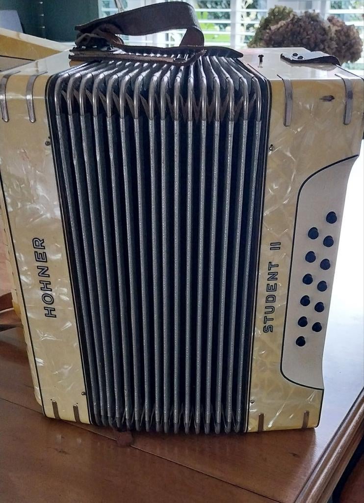Te koop hohner accordeon, Ophalen of Verzenden, Gebruikt, Hohner