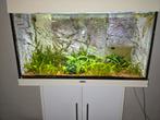 Juwel aquarium compleet 80 cm, Dieren en Toebehoren, Vissen | Aquaria en Toebehoren, Ophalen