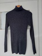 glitter coltrui van de hema maat xl 44, Maat 42/44 (L), Nieuw, Ophalen of Verzenden, Grijs