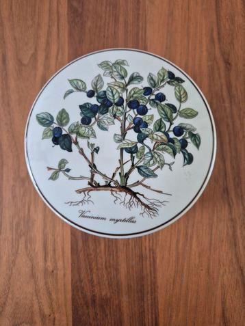 Puntgave sieradendoos/bonbonniere Botanica Villeroy & Boch beschikbaar voor biedingen