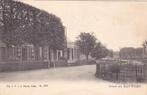 Rauwerd, Friesland., Verzenden, Voor 1920, Gelopen, Friesland