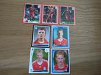 7 verschillende panini stickers Dirk Kuyt, Verzamelen, Ophalen of Verzenden, Zo goed als nieuw, Buitenlandse clubs, Poster, Plaatje of Sticker