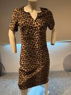 Ambika jurkje met vlekjes patroon maat s, Kleding | Dames, Jurken, Bruin, ., Ophalen of Verzenden, Zo goed als nieuw