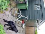 Dames e bike, sparta, 50 tot 53 cm, Ophalen, Gebruikt, Sparta