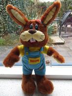 Koos Konijn Mascotte van De Roompot merk Kids Marketeers, Ophalen of Verzenden, Zo goed als nieuw, Konijn