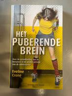 Eveline Crone - Het puberende brein, Boeken, Eveline Crone, Ophalen of Verzenden, Zo goed als nieuw, Ontwikkelingspsychologie