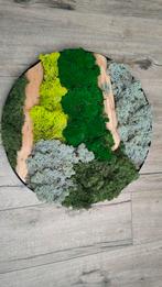 Mosschilderij, moscirkel van bolmos en rendiermos., Ophalen of Verzenden, Nieuw