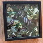 2x Foto Lijsten met Nep Planten Decoratie, Ophalen, Nieuw