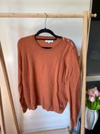 Maat M fabienne chapot trui, Kleding | Dames, Truien en Vesten, Ophalen of Verzenden, Zo goed als nieuw, Maat 38/40 (M)
