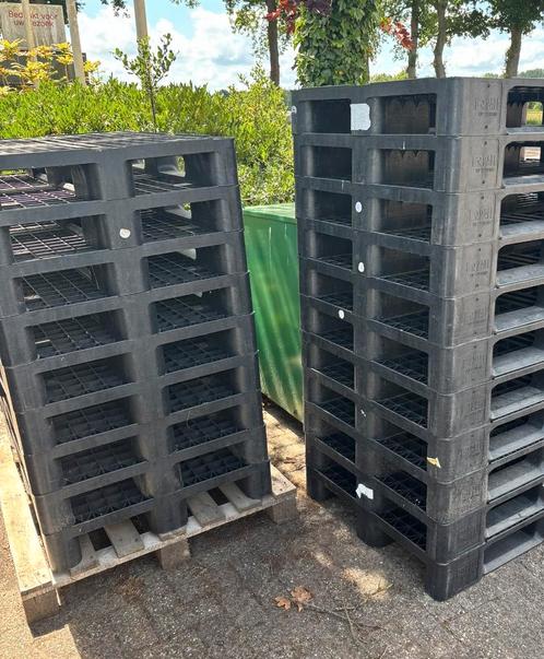 Kunststof Pallets Euro Formaat - 80 Heel, 30 Half, Doe-het-zelf en Verbouw, Kratten en Dozen, Ophalen