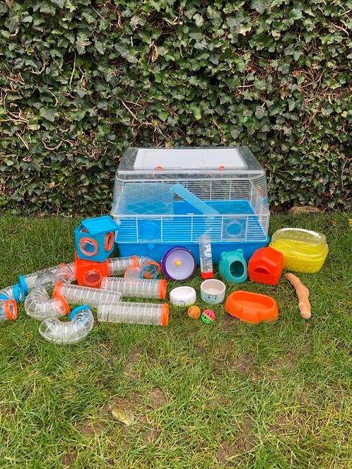 Hamsterkooi met accessoires!!, Dieren en Toebehoren, Knaagdieren en Konijnen | Hokken en Kooien, Gebruikt, Kooi, Minder dan 60 cm