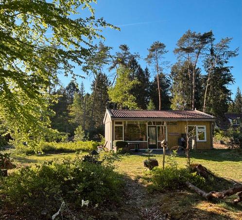 NORG (DRENTHE) 4 p. gezellig boshuis.Nog een paar weken vrij, Vakantie, Vakantiehuizen | Nederland, Drenthe, Chalet, Bungalow of Caravan