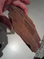 Groot stuk versteend hout met rookkwartskristallen, Ophalen of Verzenden, Mineraal