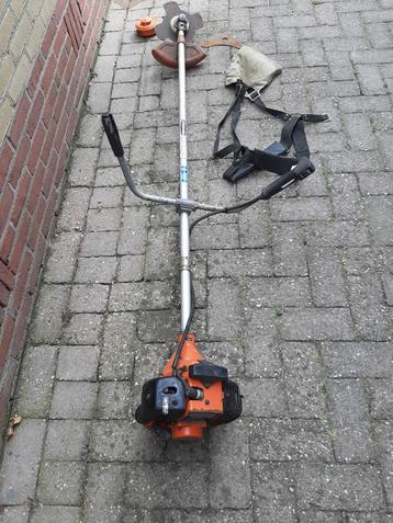 Bosmaaier beschikbaar voor biedingen