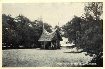 (388-405-045) Driebergen-Rijsenburg Hutje in de duinen beschikbaar voor biedingen